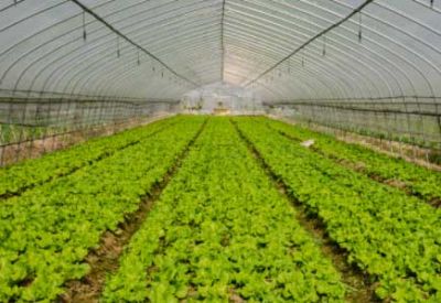 農業(yè)部等三部門：開展植保無人飛機應用試點工作